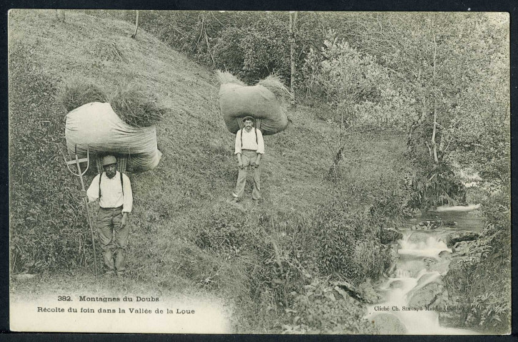 Récolte du foin