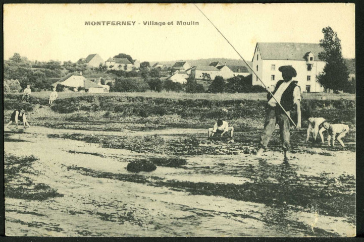 Vue générale