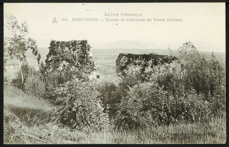 Ruines de l'enceinte du vieux château