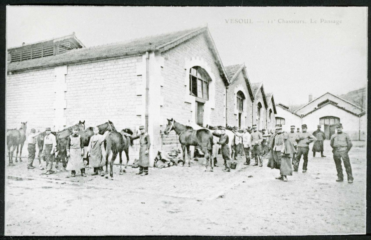 11e chasseurs, la pansage