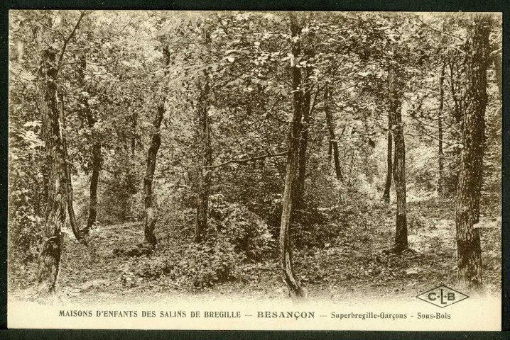 Maisons d'enfants des salins de Bregille, Besançon, Superbregille-garçons, sous-bois