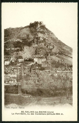 Le fort Belin