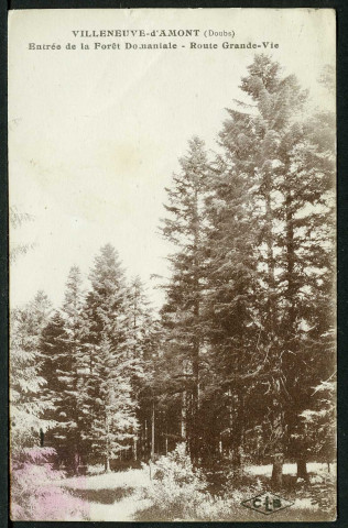Entrée de la forêt domaniale