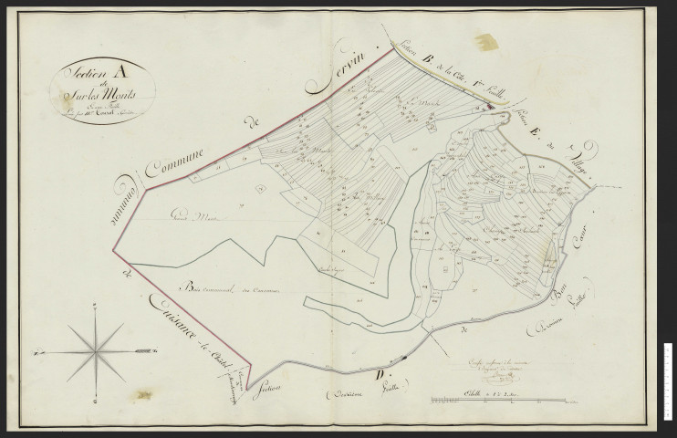 Lanans