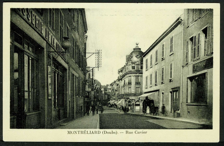 Rue Cuvier