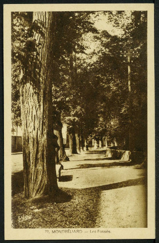 Les Fossés
