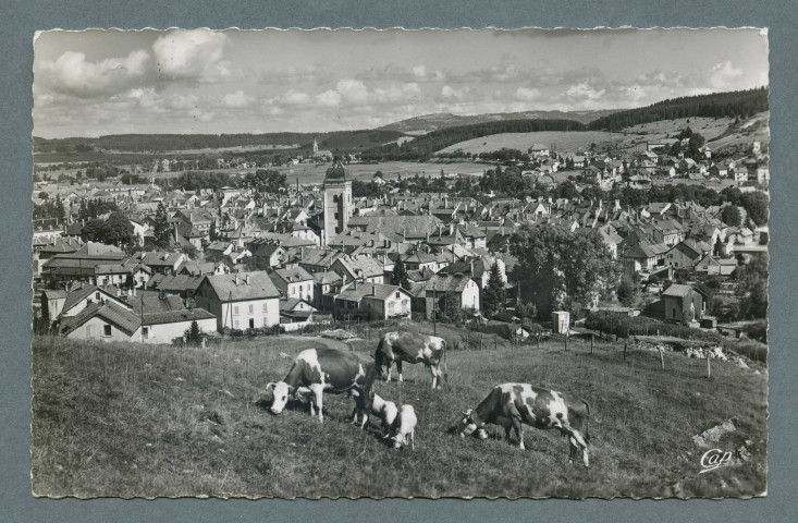 Les pâturages et la ville