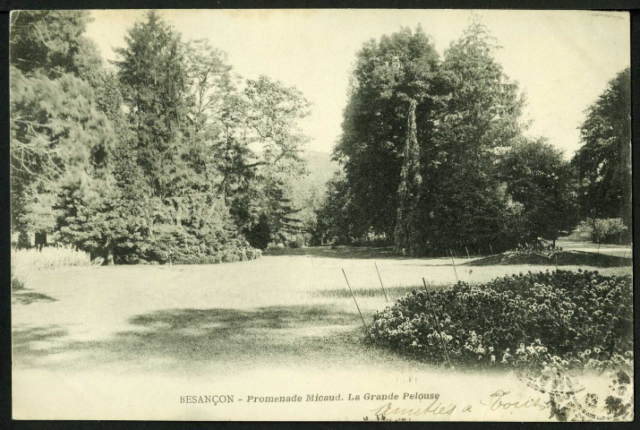Promenade Micaud, la grande pelouse