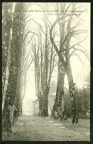 Allée du Parc de Montalembert
