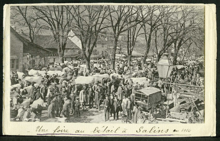 Champ de foire