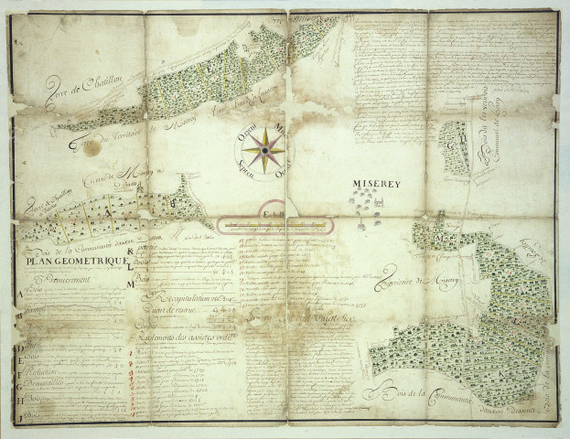 Plan géomtrique des bois de la communauté de Miserey