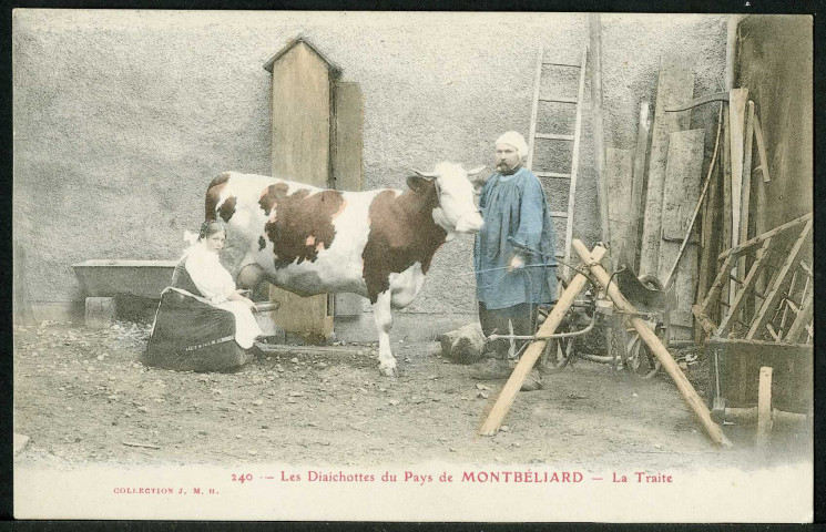 Les Diaichottes de Montbéliard, la traite