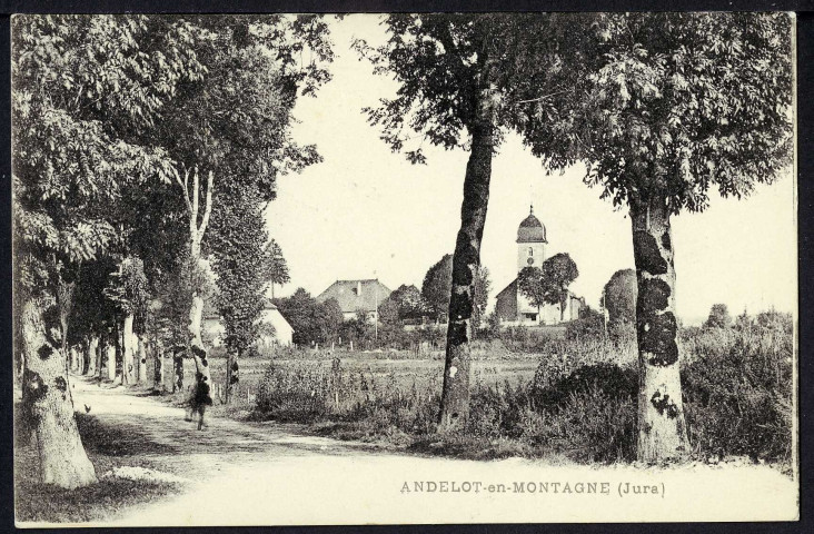 Vue générale