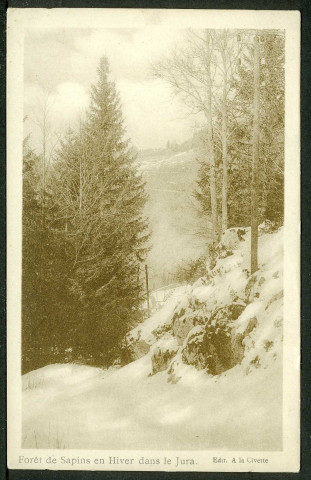 Forêt de sapins en hiver dans le Jura