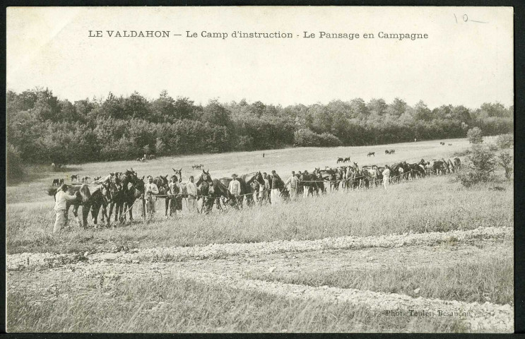 Le pansage en campagne