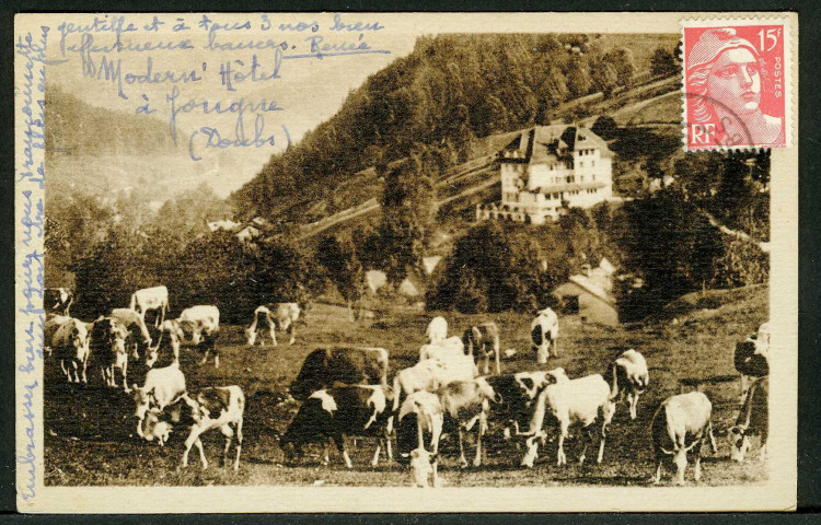 Le Modern'Hôtel, vaches aux pâturages