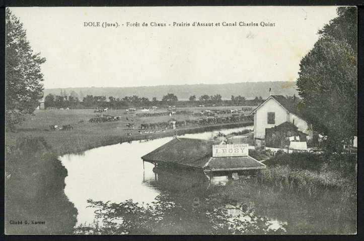 Forêt de Chaux