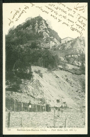 Fort Belin