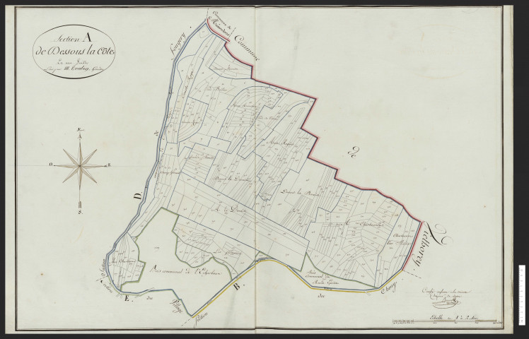 Vergranne