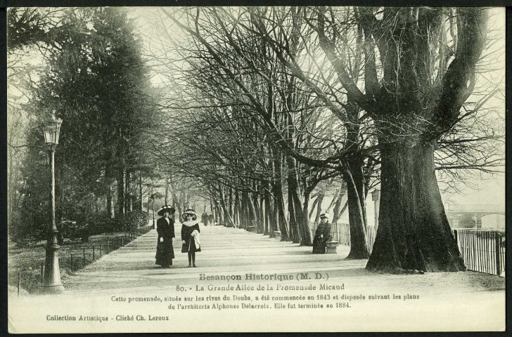 La grande allée de la promenade Micaud