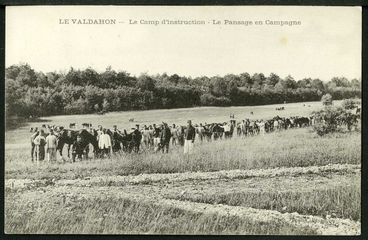 Le pansage en campagne