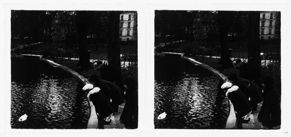 Les canards