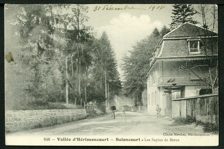 Les sapins de Berne