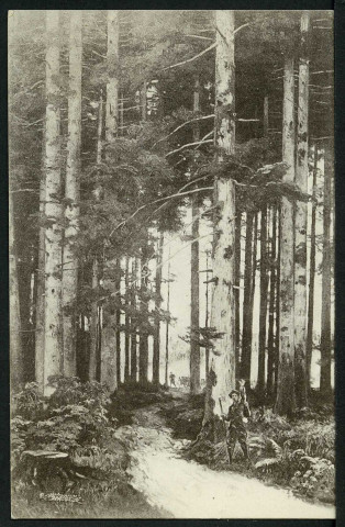 Forêt de sapins