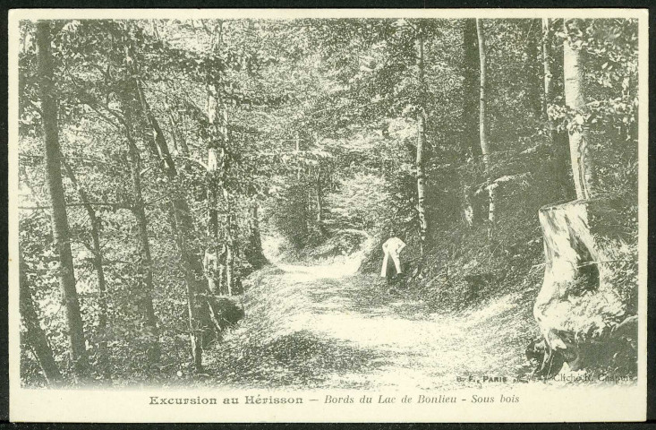 Bords du lac