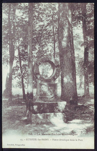 Pierre druidique dans le parc