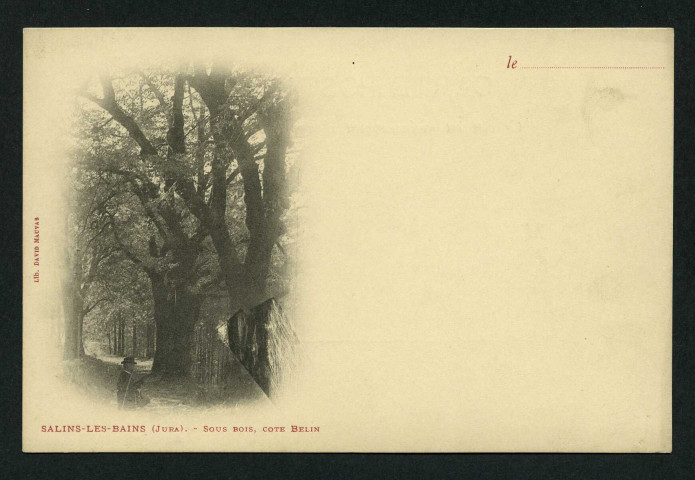 Sous-bois