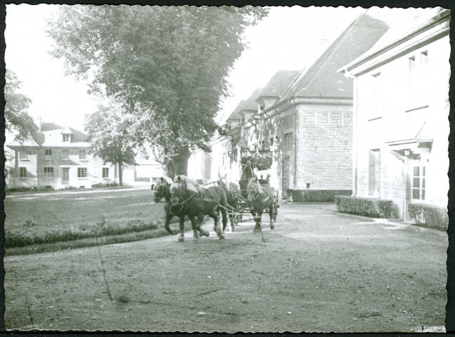 Haras de Besançon, vue d'ensemble de l'établissement
