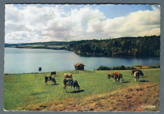 Lac Saint-Point à Chaon