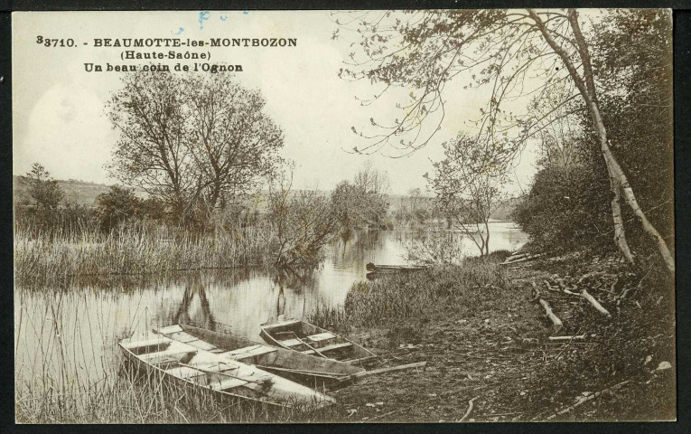 Un coin sur l'Ognon