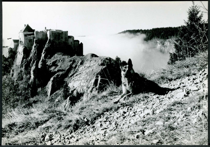 Château de Joux