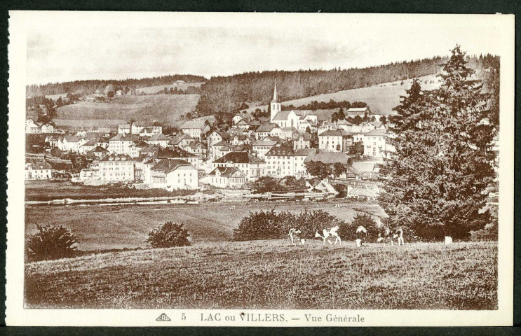 Vue générale