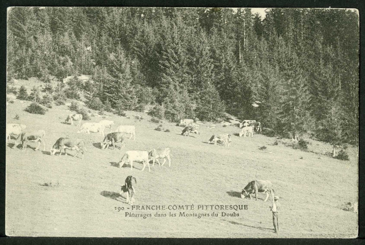 Pâturages dans les montagnes du Doubs