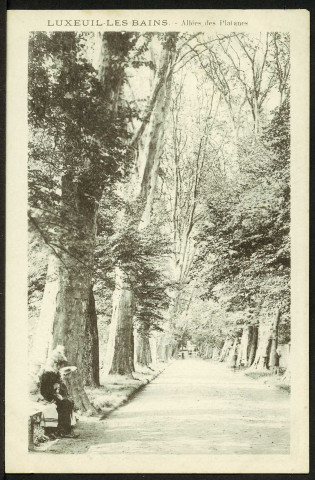 Allée des Platanes