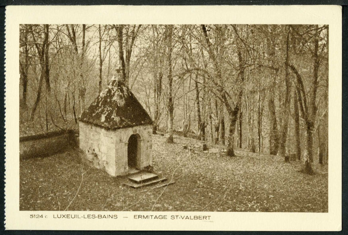Vue de Luxeuil et des environs
