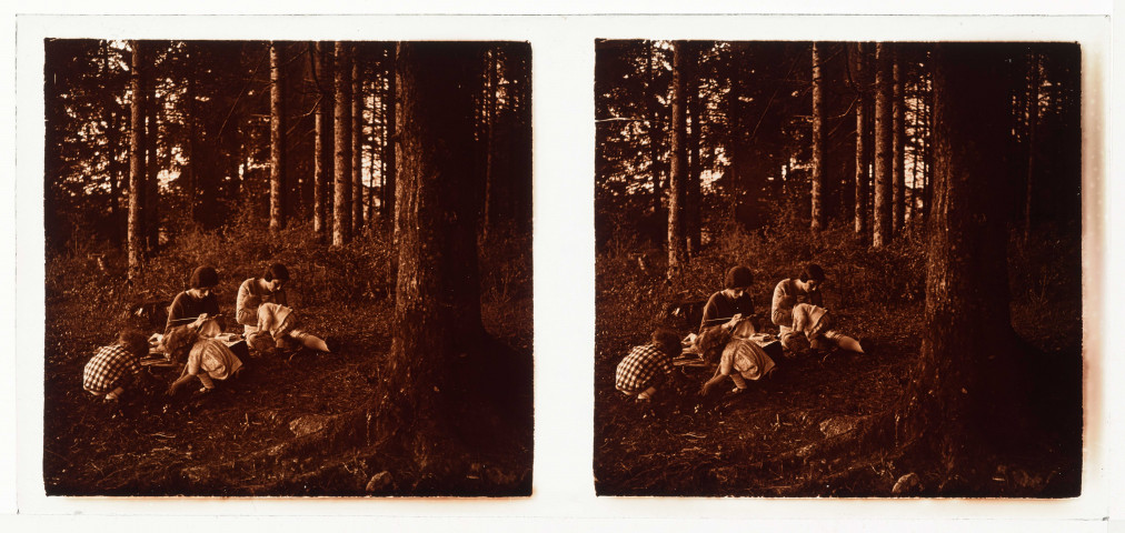 Dans la forêt