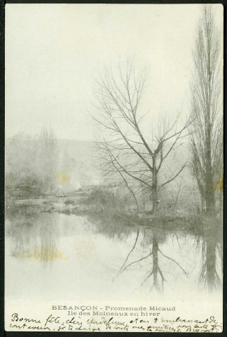 Promenade Micaud, l'île des Moineaux en hiver