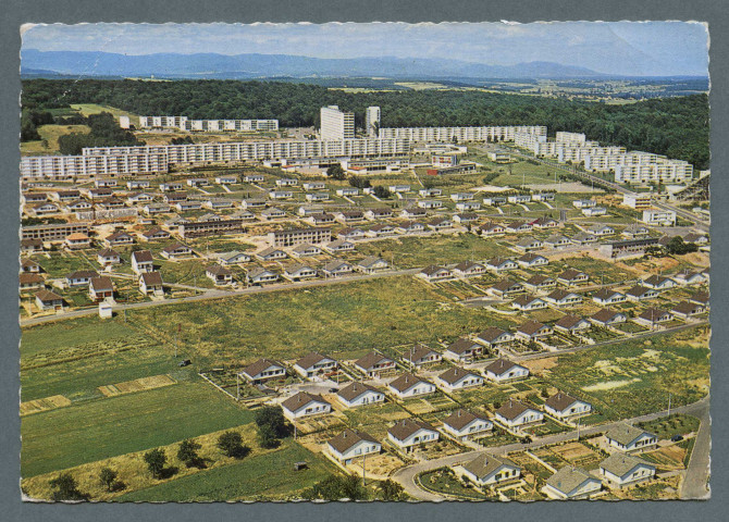 Le Grand-Charmont, les Fougères