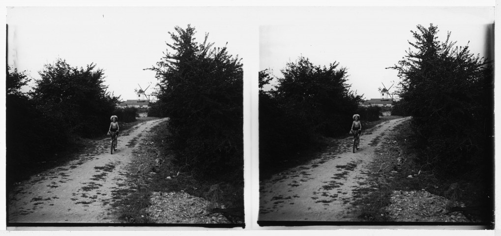 Loire-Atlantique. - Pornic