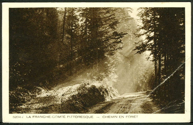 Franche-Comté. Chemin en forêt