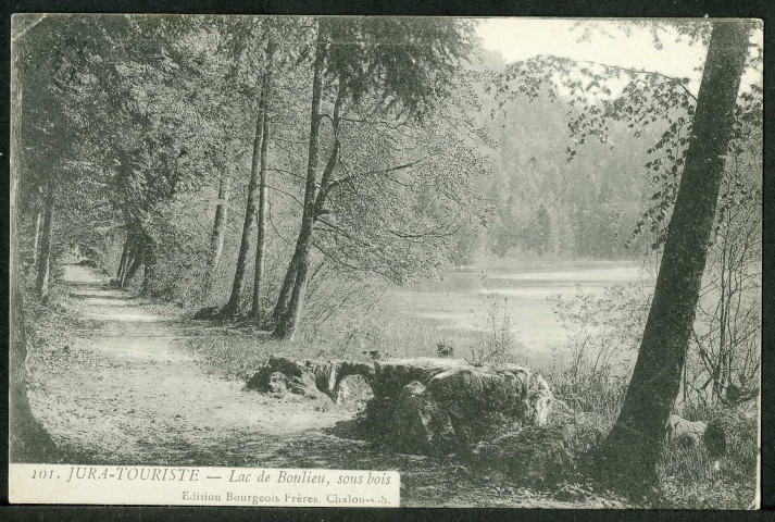 Le lac, sous bois
