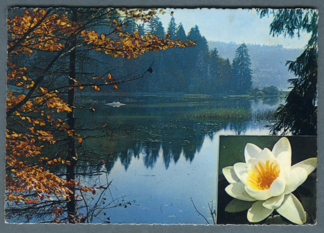 L'automne au lac Saint Point