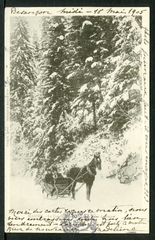 La combotte aux sapins