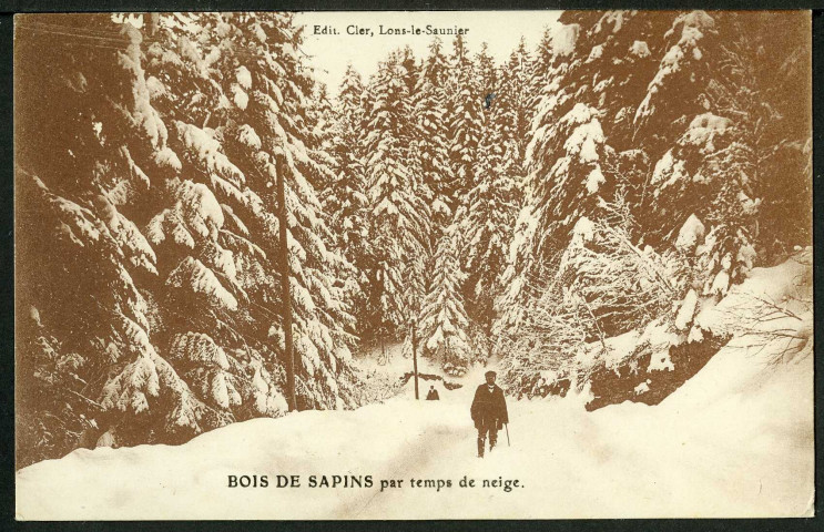 Promeneurs dans les forêts de sapins en hiver