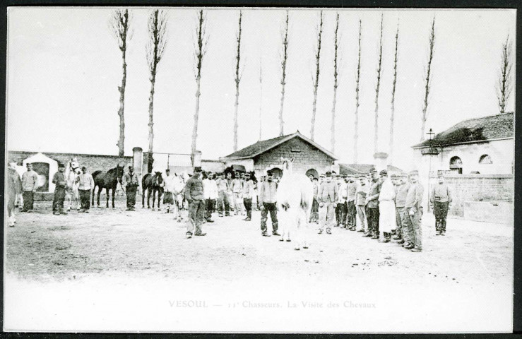 11e chasseurs, la visite des chevaux