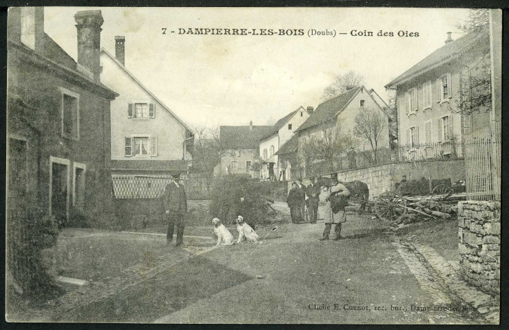 Coin des Oies